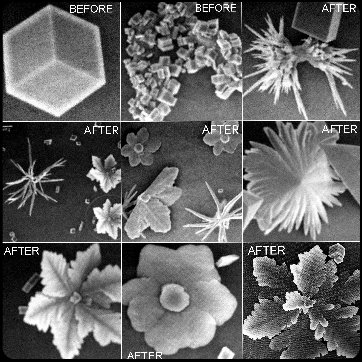Jozef Stefan Institute crystal morphology SEM study